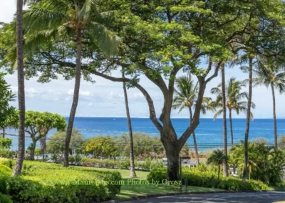 Ocean and grounds viewed from Maui Kamaole approach drive